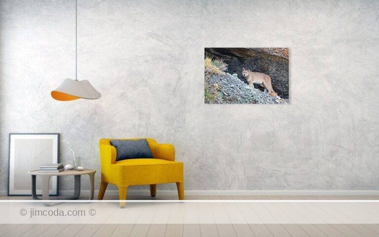 Fine art photo print example in living room
