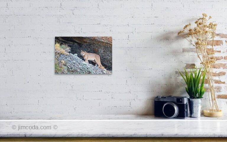 Fine art photo print example in living room