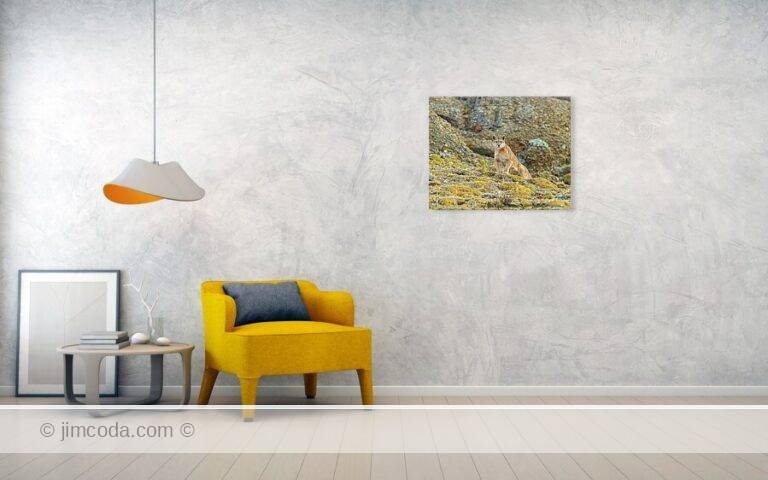Fine art photo print example in living room