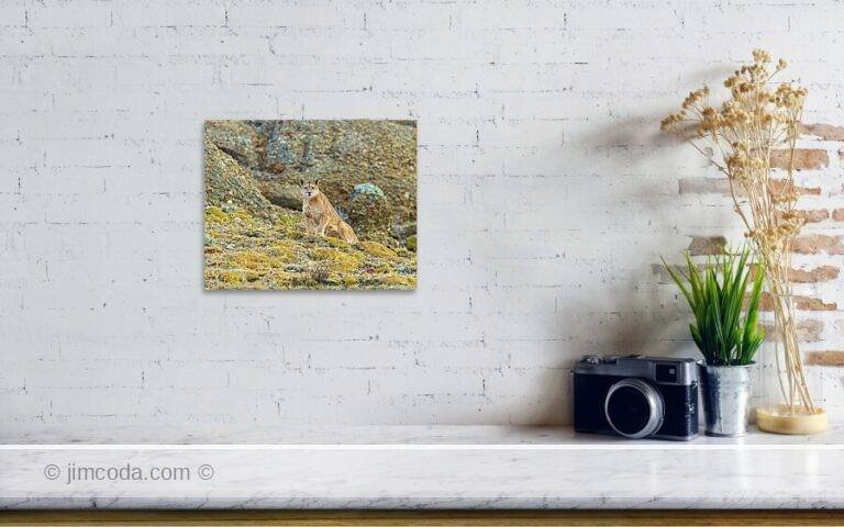 Fine art photo print example in living room