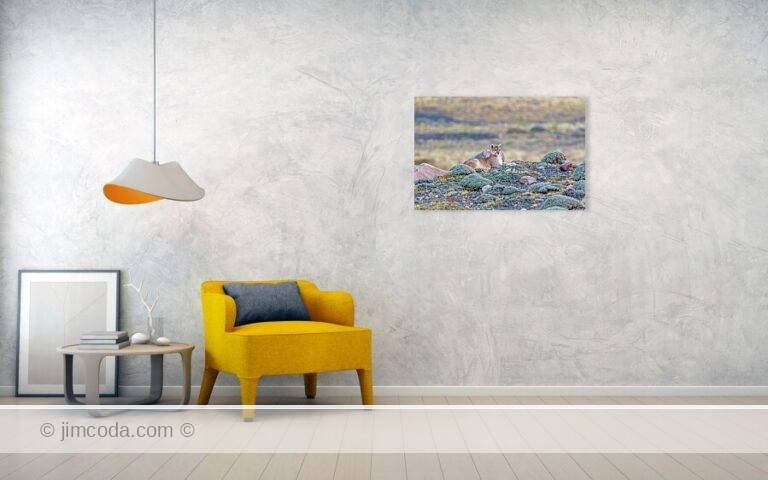 Fine art photo print example in living room