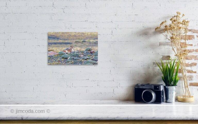 Fine art photo print example in living room