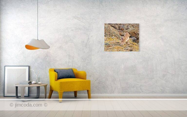 Fine art photo print example in living room
