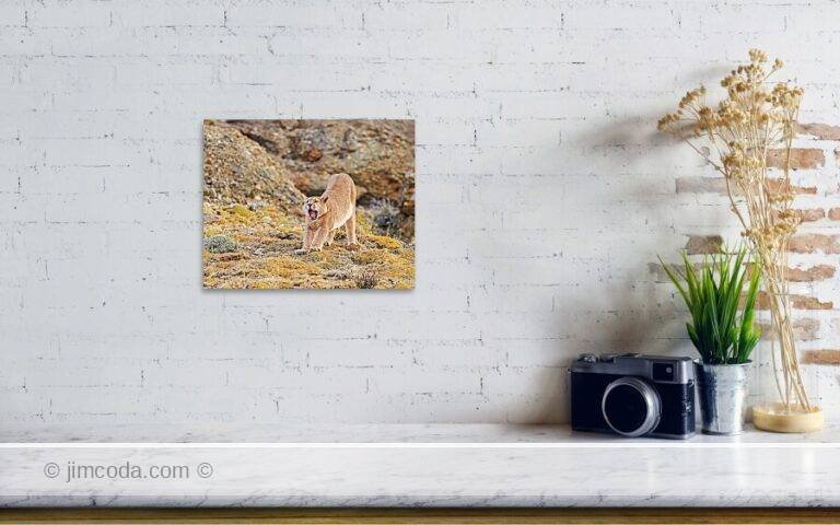 Fine art photo print example in living room