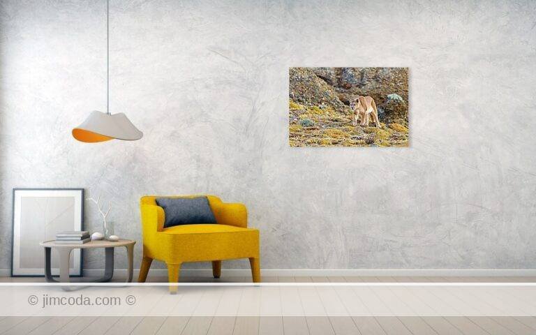 Fine art photo print example in living room