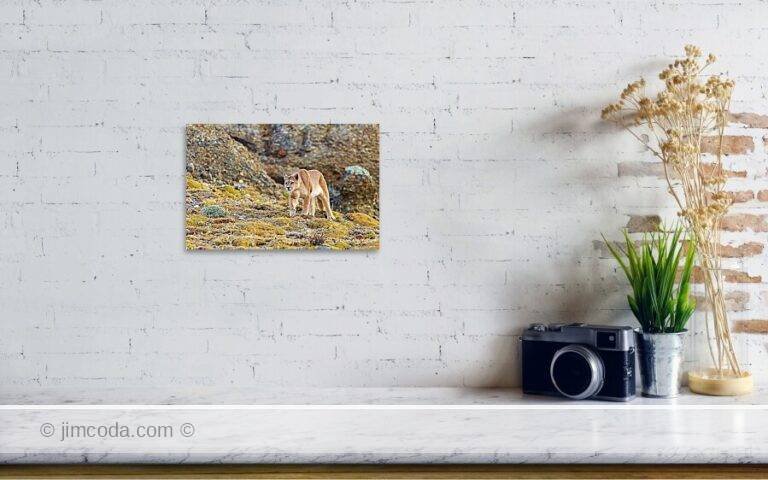 Fine art photo print example in living room