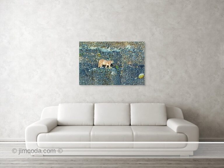 Fine art photo print example in living room
