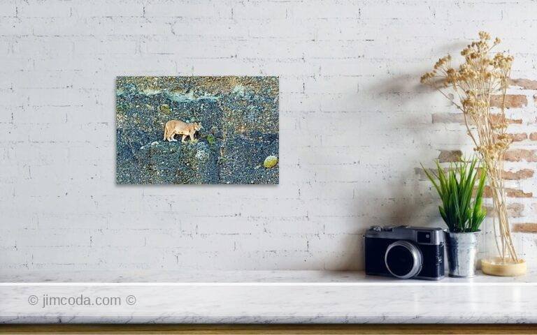 Fine art photo print example in living room
