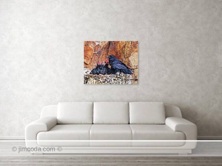 Fine art photo print example in living room