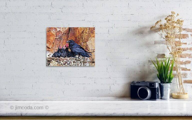 Fine art photo print example in living room