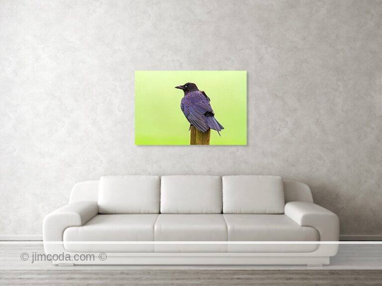 Fine art photo print example in living room
