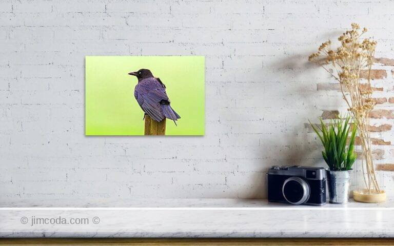 Fine art photo print example in living room