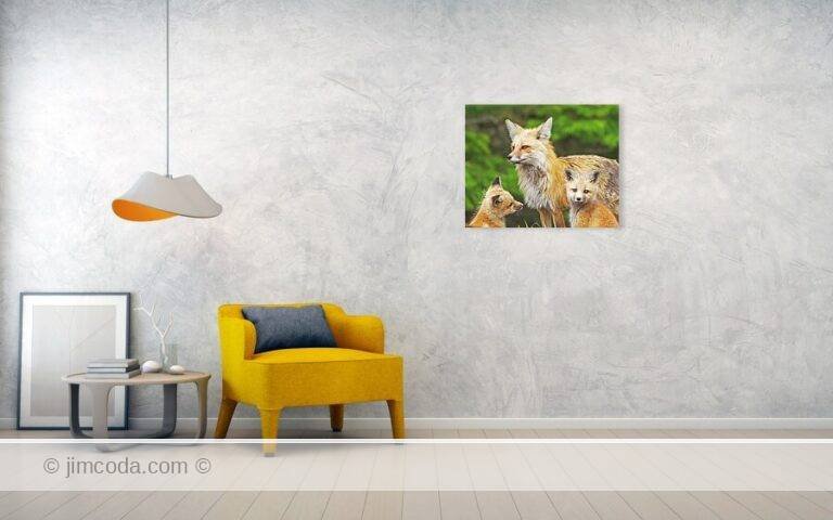 Fine art photo print example in living room