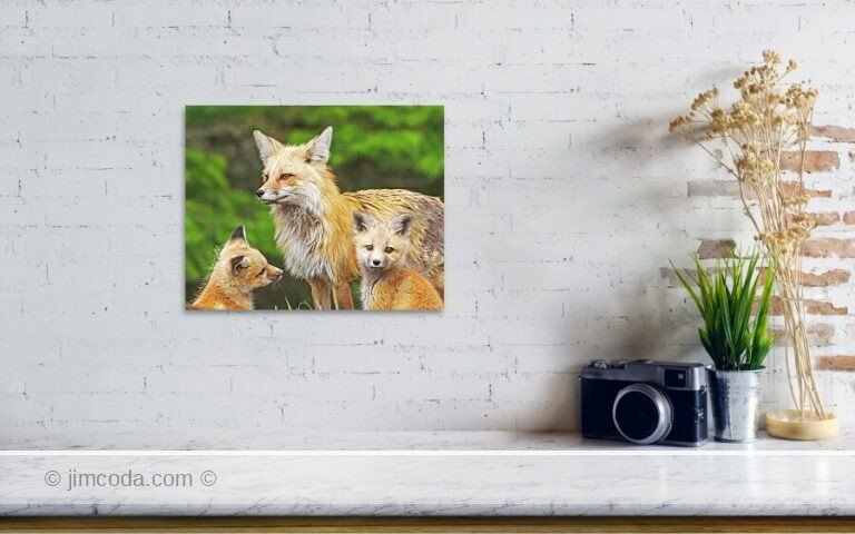 Fine art photo print example in living room