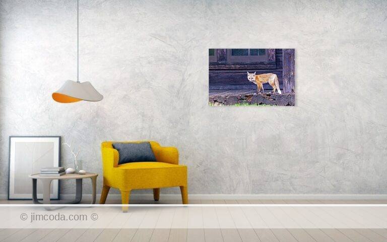 Fine art photo print example in living room