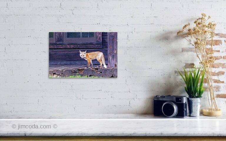 Fine art photo print example in living room