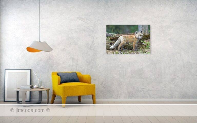 Fine art photo print example in living room