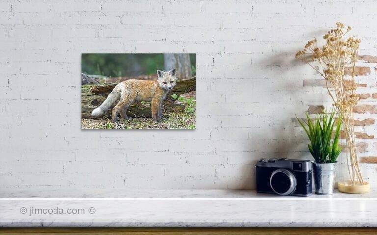 Fine art photo print example in living room