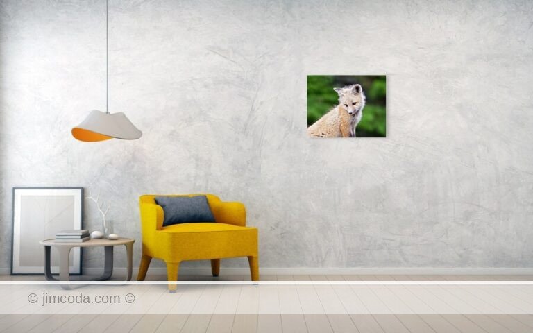 Fine art photo print example in living room