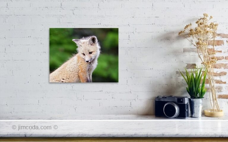 Fine art photo print example in living room