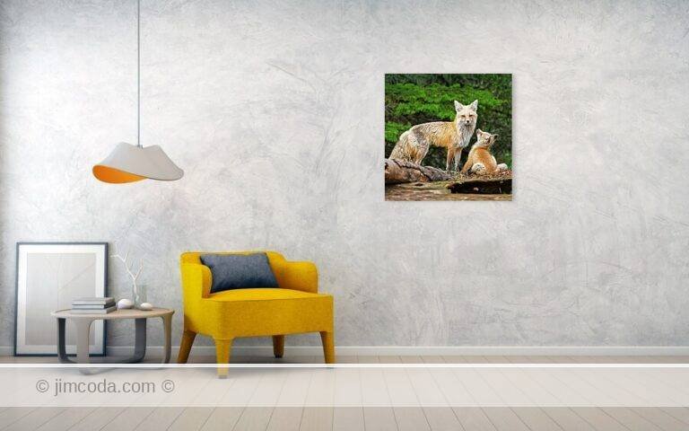 Fine art photo print example in living room