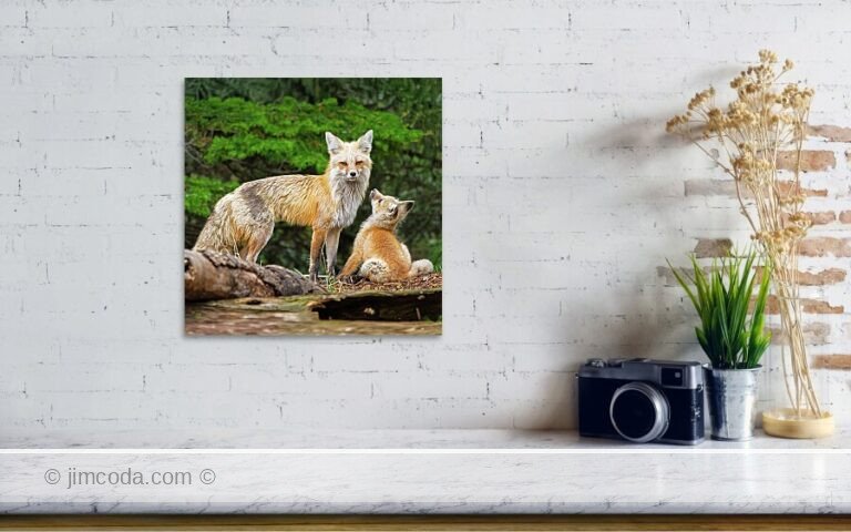 Fine art photo print example in living room