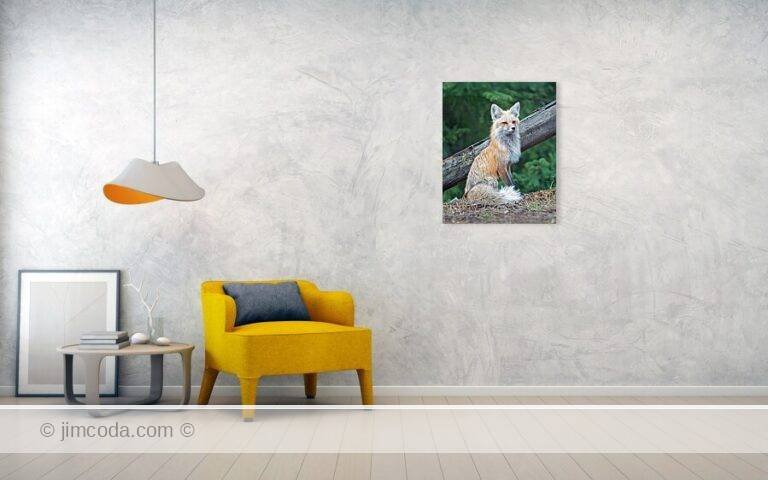 Fine art photo print example in living room