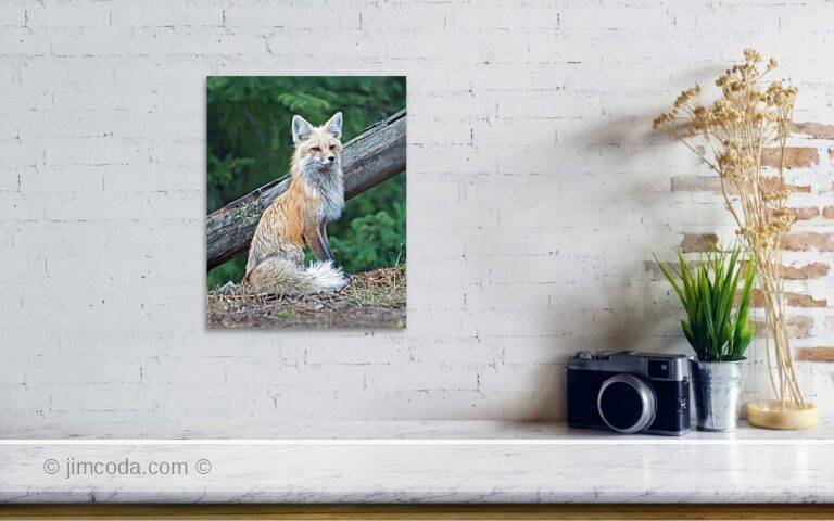 Fine art photo print example in living room