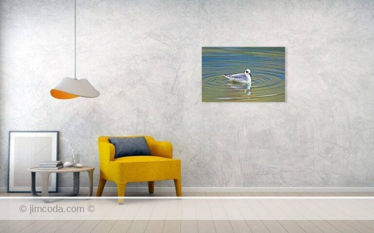Fine art photo print example in living room