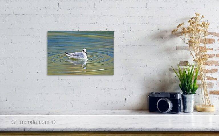 Fine art photo print example in living room