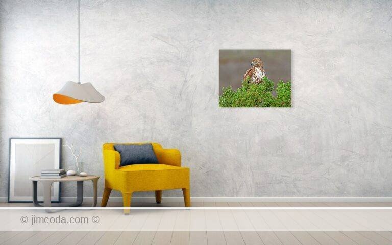 Fine art photo print example in living room