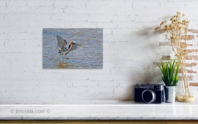 Fine art photo print example in living room