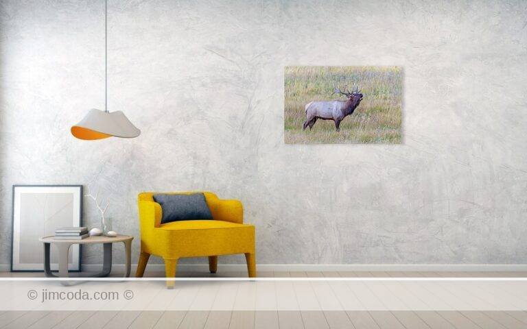 Fine art photo print example in living room