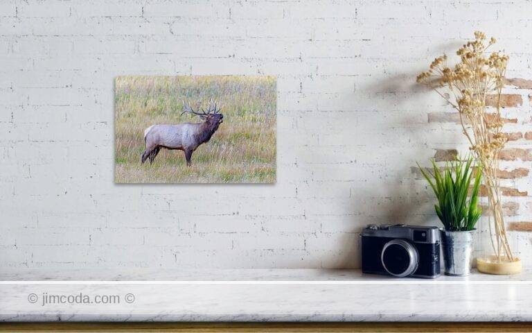 Fine art photo print example in living room