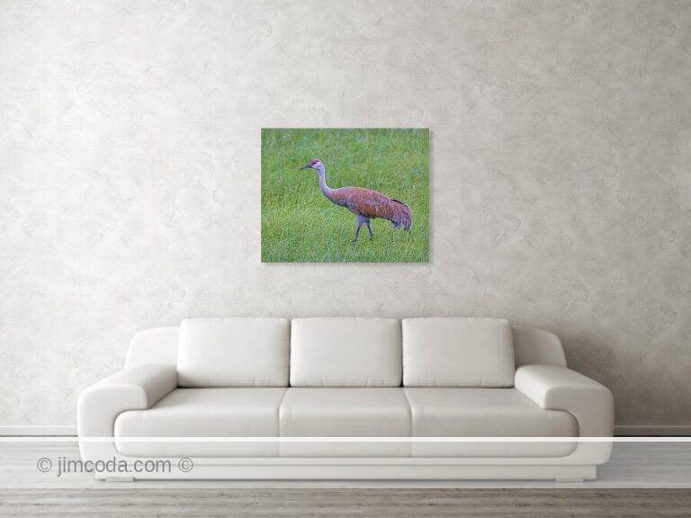 Fine art photo print example in living room