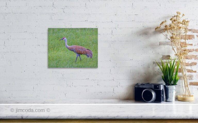 Fine art photo print example in living room