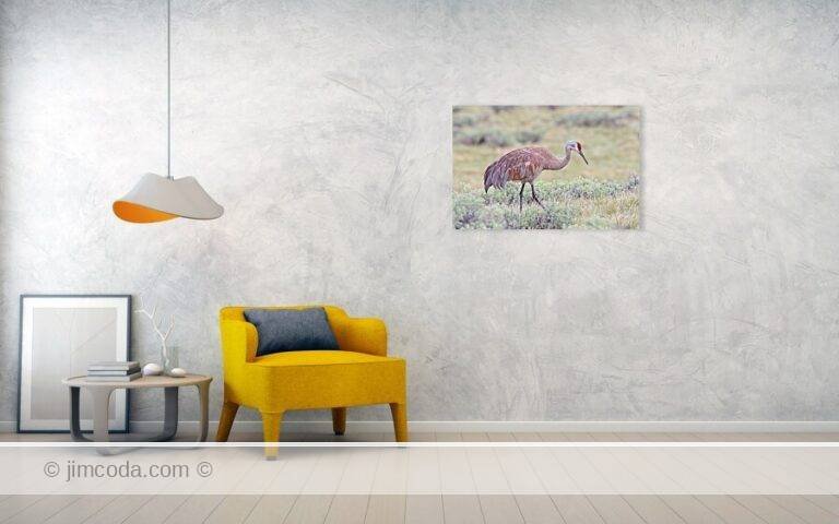 Fine art photo print example in living room
