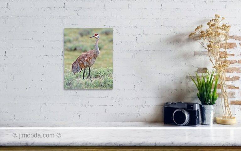 Fine art photo print example in living room