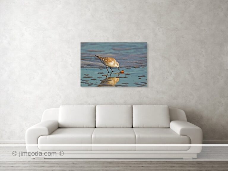 Fine art photo print example in living room