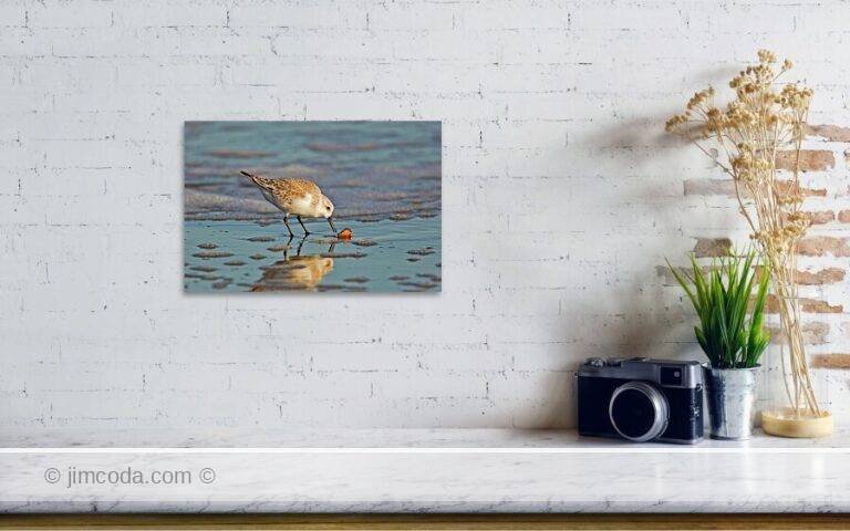 Fine art photo print example in living room