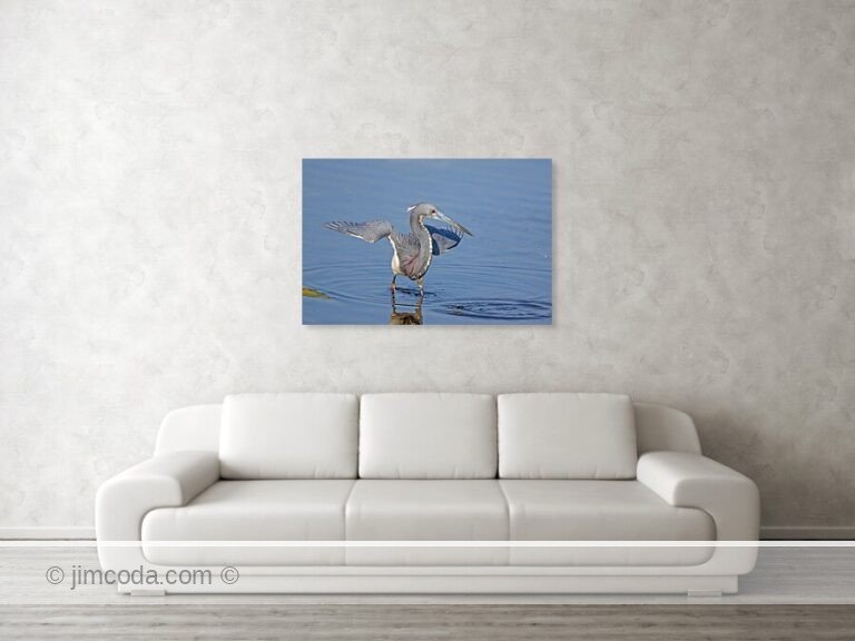 Fine art photo print example in living room
