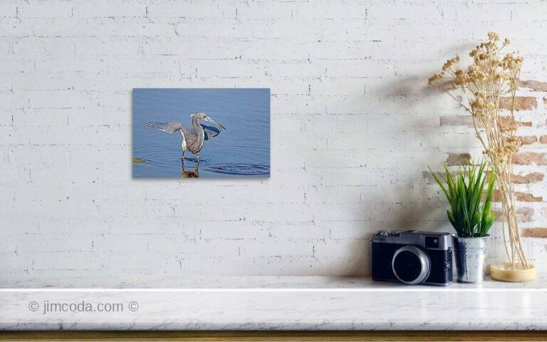 Fine art photo print example in living room