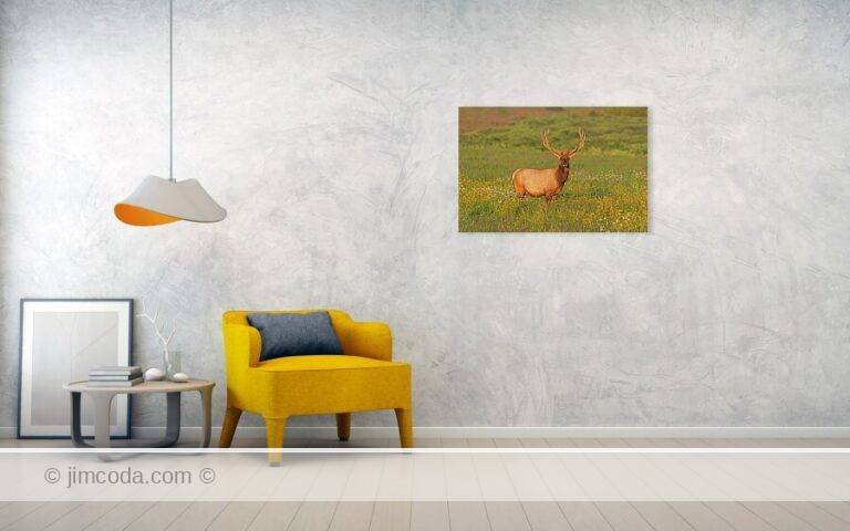 Fine art photo print example in living room