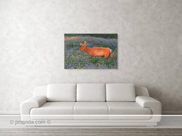 Fine art photo print example in living room
