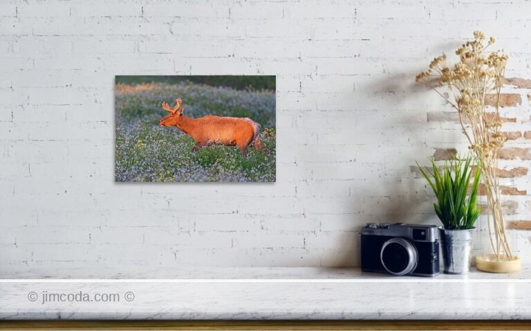 Fine art photo print example in living room