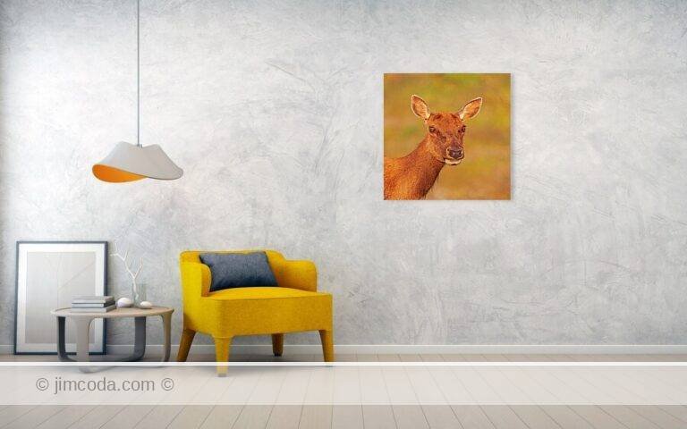 Fine art photo print example in living room