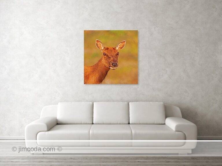 Fine art photo print example in living room