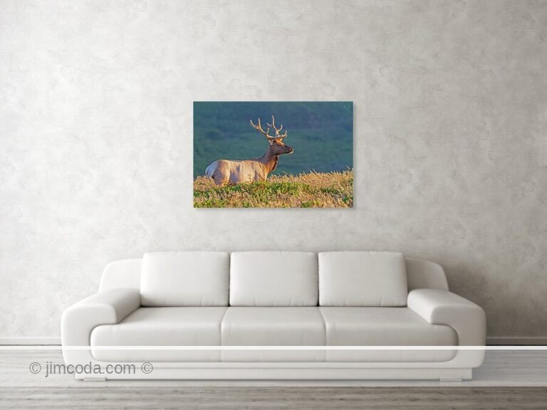 Fine art photo print example in living room