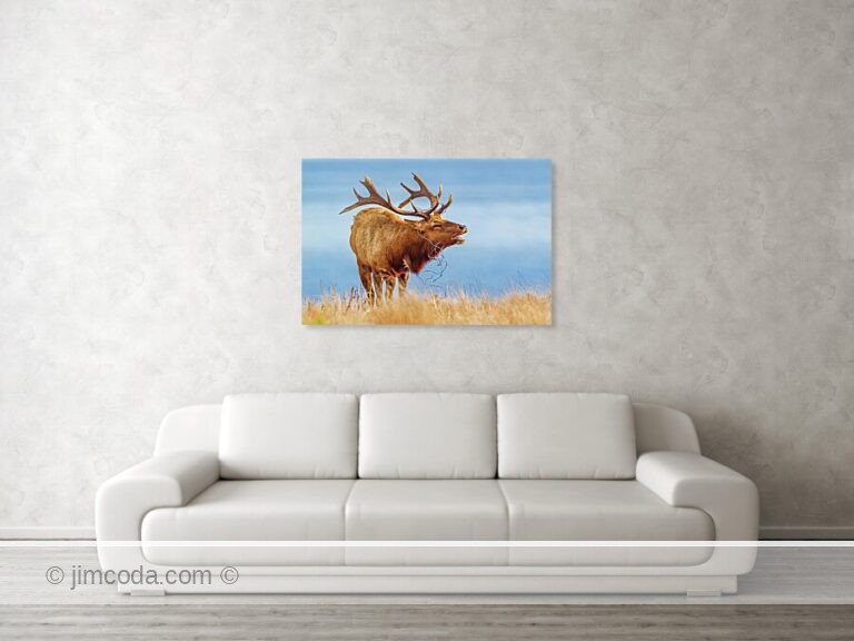 Fine art photo print example in living room