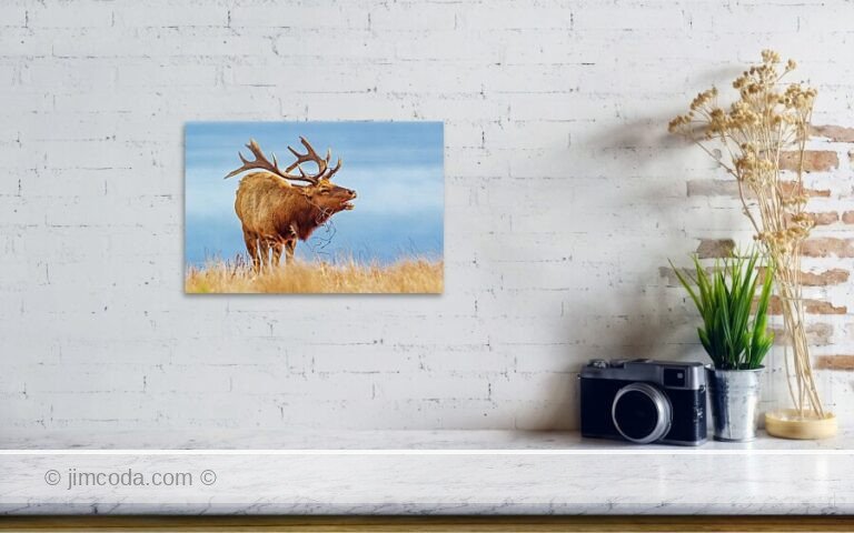 Fine art photo print example in living room